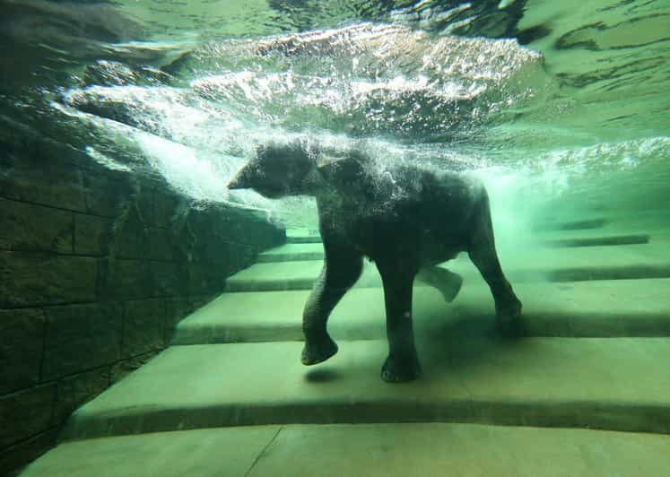 Leipzig Zoo: Entry Ticket - Key Points