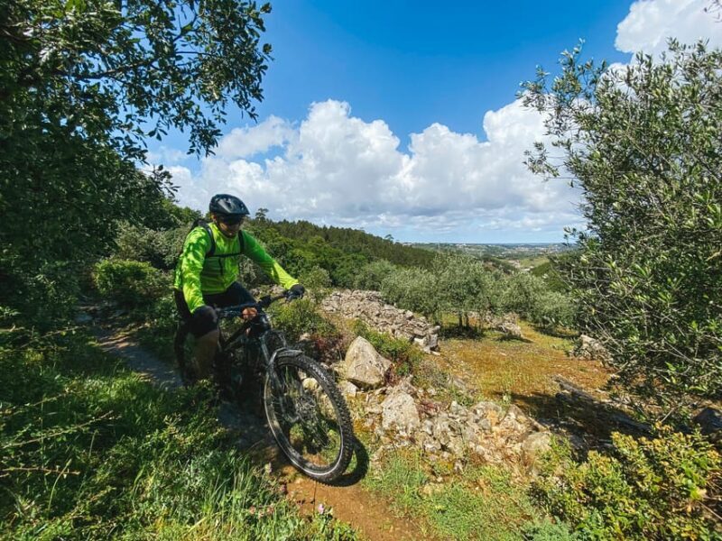 Leiria E-bike and Castel tour - Key Points