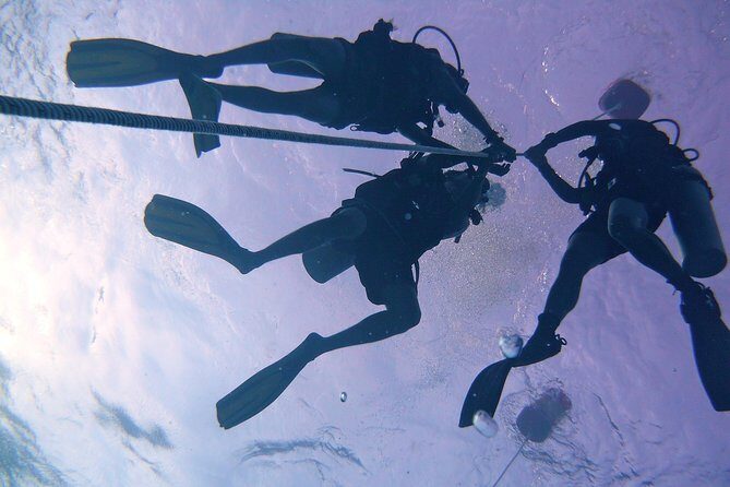 Leisure Diving | Fun Dives | 3 Dives in TARP, Kota Kinabalu - FAQ