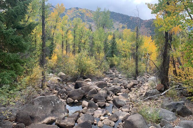 Leisure Hike - East Aspen Hunter Creek - Who Will Love This Tour?