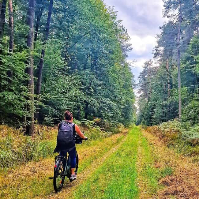 Lembach: Electric bike rental by the day - Accessibility and Limitations