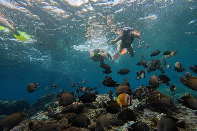 Lembongan Snorkeling at Manta Point Crystal Bay and Mangrove - Starting Out: The Meeting Point and Timing