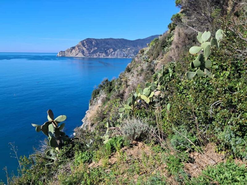 Lemon tour with limoncino and wine tasting in Vernazza (Cinque Terre) - What Makes this Tour Special?
