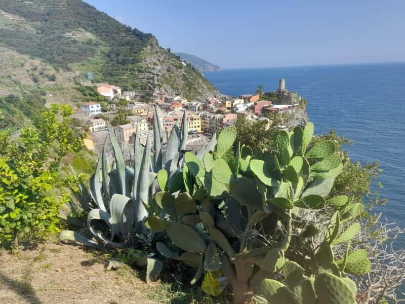 Lemon tour with limoncino and wine tasting in Vernazza (Cinque Terre) - The Tasting Experience and Setting