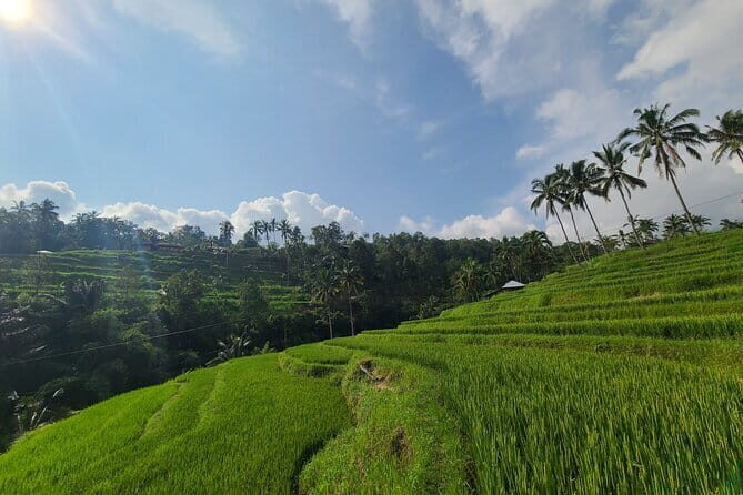 Lemukih Hidden Trekking Waterslide Sekumpul and Fiji Waterfall - Who Might Want to Consider Alternatives?