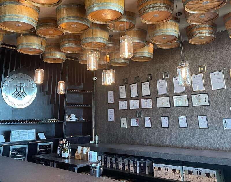 Leon: Dolores Hidalgo Viñedo Tres Raíces Wine Tour - Key Points