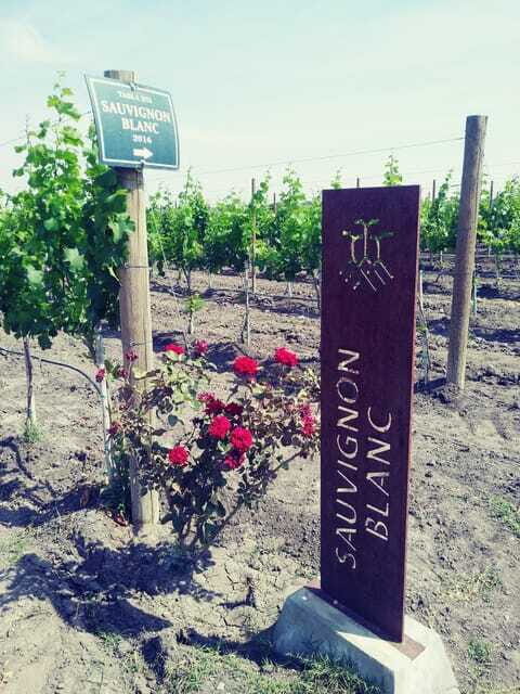 Leon: Dolores Hidalgo Viñedo Tres Raíces Wine Tour - The Sum Up: Is It Worth It?