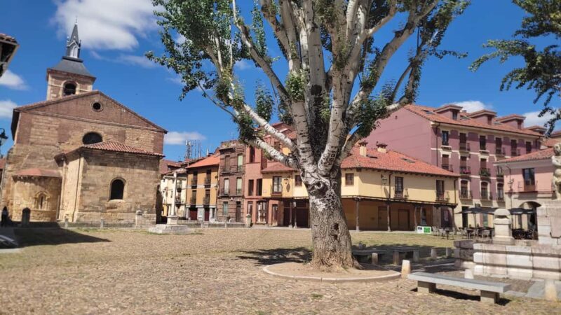 León: Guided tour by a local art historian - Key Points