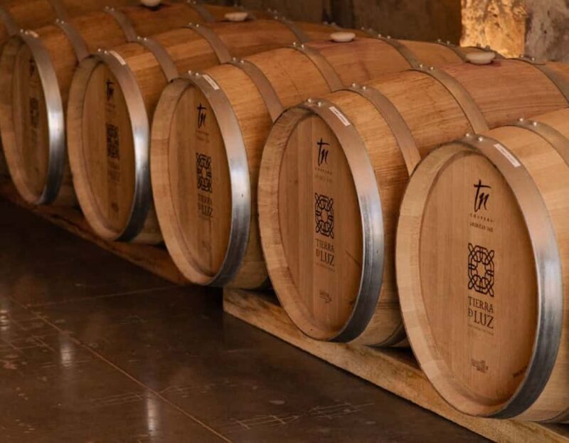 Leon: Tierra de Luz Vineyard Tour with Wine Tasting - An In-Depth Look at the Tour Experience