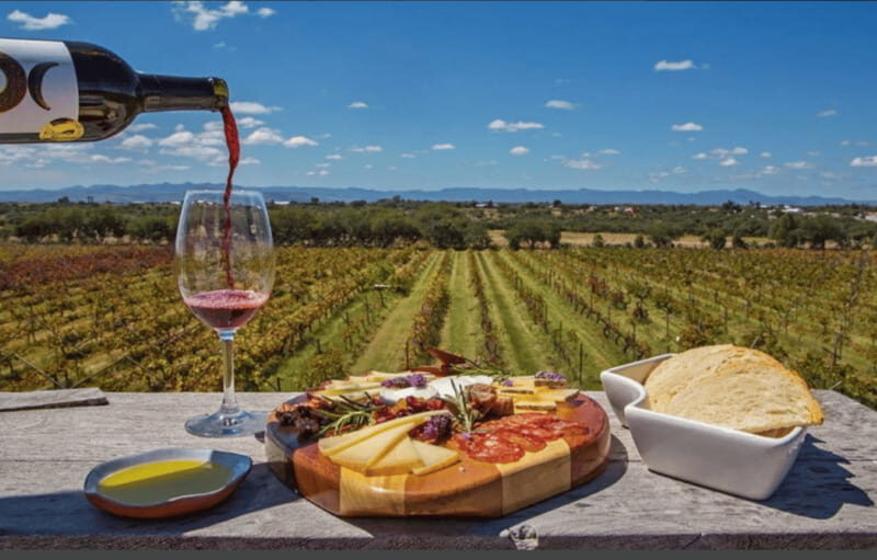 León: Wine Tasting & Vineyard Tour at Viñedo Jalpense - An Authentic Look at Mexican Winemaking