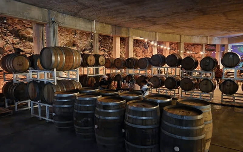 León: Wine Tasting & Vineyard Tour at Viñedo Jalpense - Price and Value