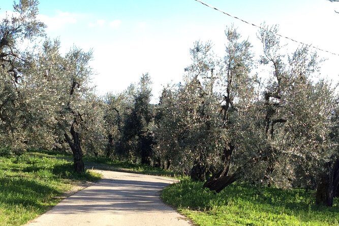 Leonardo da Vinci Voyage with Olive Oil, Food and Wine Dream - Final Thoughts