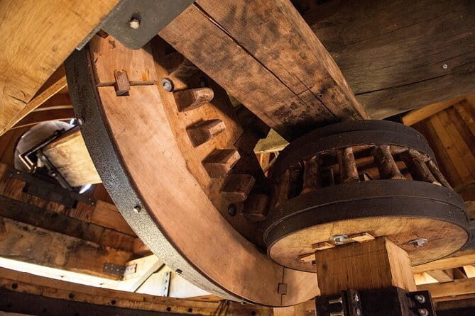 Leonardo Da Vinci's wind mill visit and Organic olive oil tasting - A Deep Dive into the Experience