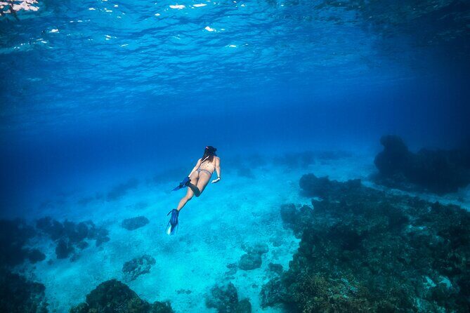 Leopard 51 yacht in Tulum with gourmet dining and water toys - The Sum Up: Is This the Right Experience for You?