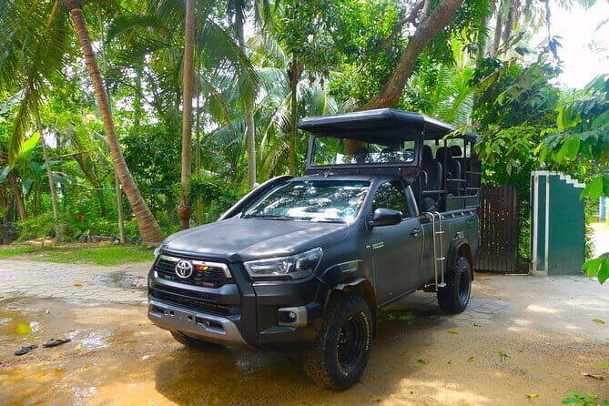 Leopard Half Day Yala National Park Eleven Safari - Practical Aspects & Tips