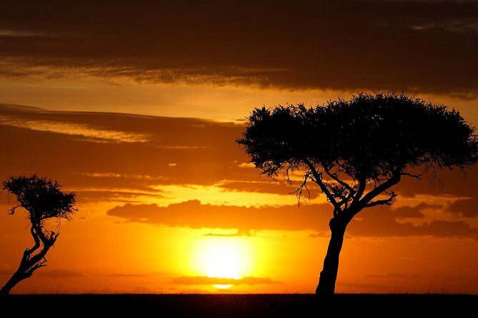 Leopard Safari Tour in Yala National Park - FAQ