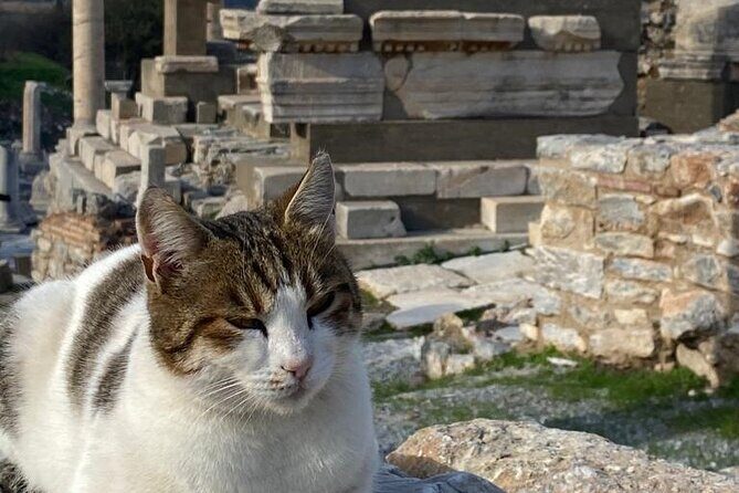 LESS Walking Tour : Private Ephesus, House of Virgin Mary, Temple - Critical Considerations