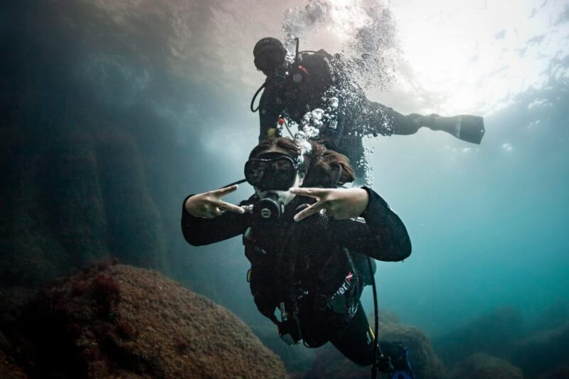 L'Estartit: Dive and Snorkeling in Montgrí Natural Park - Key Points