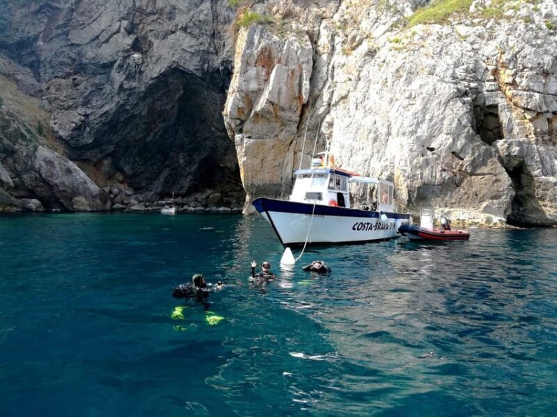 L'Estartit: Dive and Snorkeling in Montgrí Natural Park - Practical Details and Value