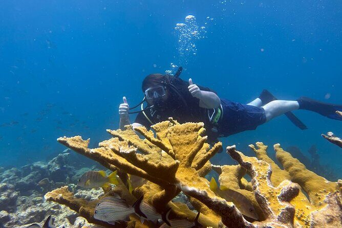 Let it Ride Charters-Private Fishing / Snorkel Combo Key Largo FL - Who Is This Tour Best For?