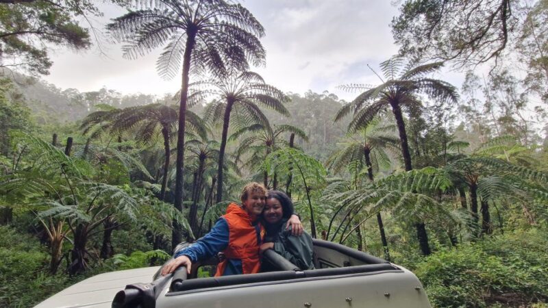 Let-Me-Surprise-You Madeira Full Day Private Tour - In-Depth Review of the Madeiran Private Tour