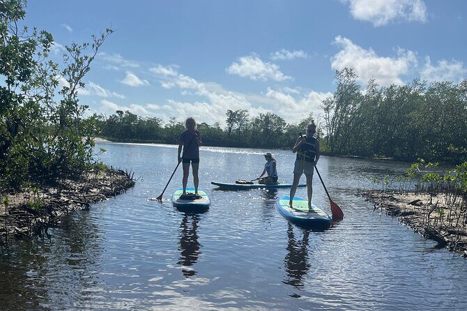 Lets Paddle! Jupiter & surrounding areas - Introduction