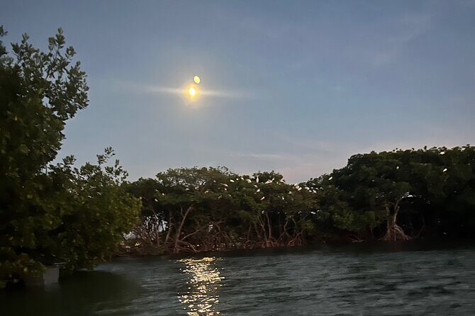 Lets Paddle! Jupiter & surrounding areas - Who Is This Tour Best For?