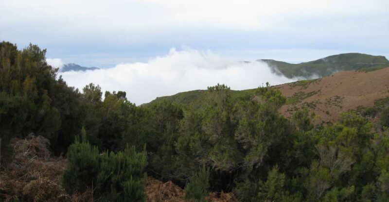 Levada do Alecrim (Madeira Lakes) Full-day walk - The Sum Up