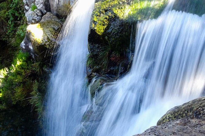 Levada do Alecrim - Rosemary Levada (Full Day Walk) - An In-Depth Look at the Levada do Alecrim Full-Day Walk