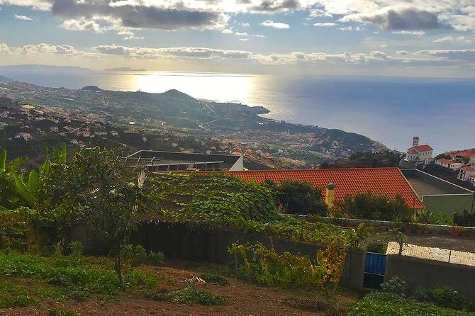 Levada do Norte - Walking Tour - In-Depth Review of the Levada do Norte Walking Tour
