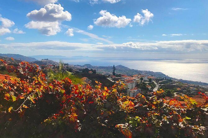Levada do Norte - Walking Tour - FAQ