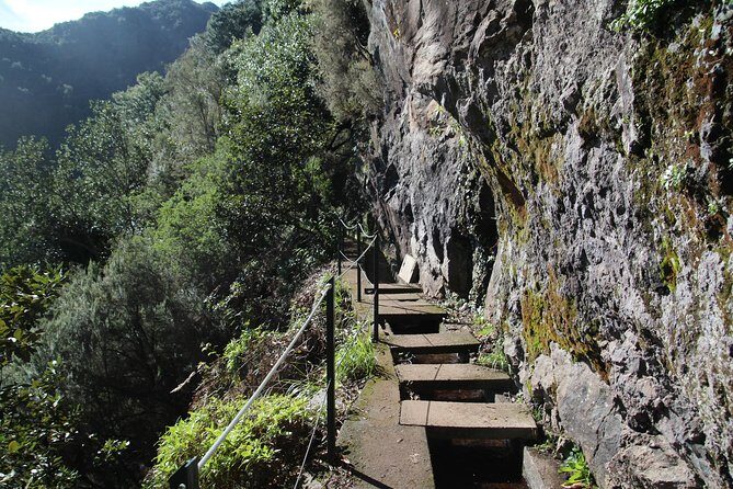 Levada do Rei - Ribeiro Bonito (Full Day Walk) - The Experience in Detail