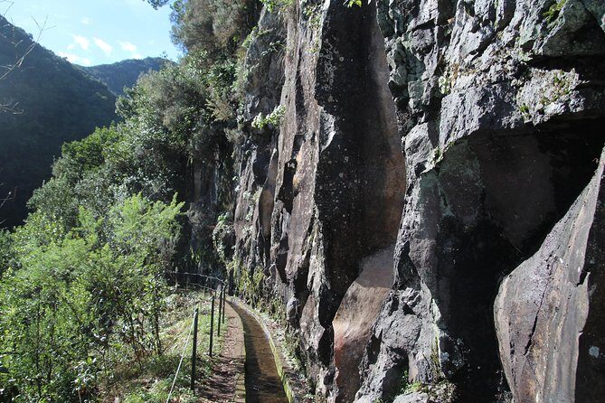 Levada do Rei - Ribeiro Bonito (Full Day Walk) - Authentic Insights from Past Travelers