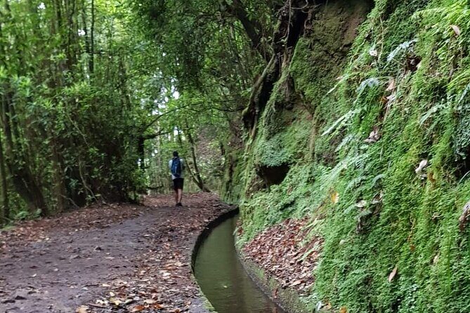 Levada do Rei - Ribeiro Bonito (Full Day Walk) - Final Thoughts