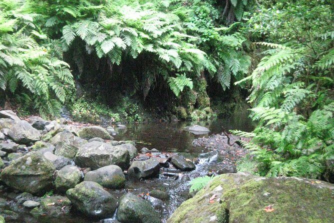 Levada do Rei - Ribeiro Bonito (Full Day Walk) - FAQs