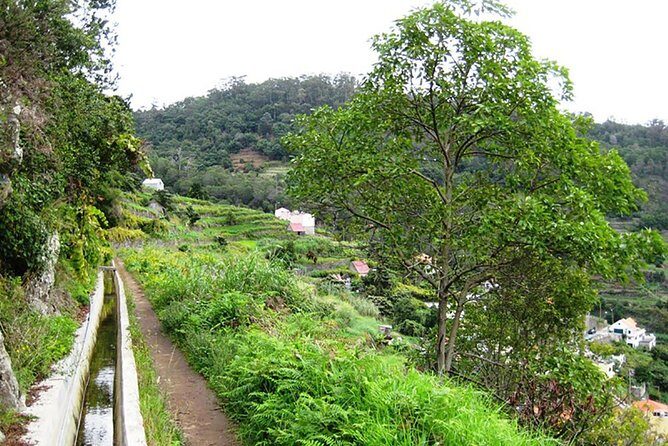 Levada dos Maroços - Key Points