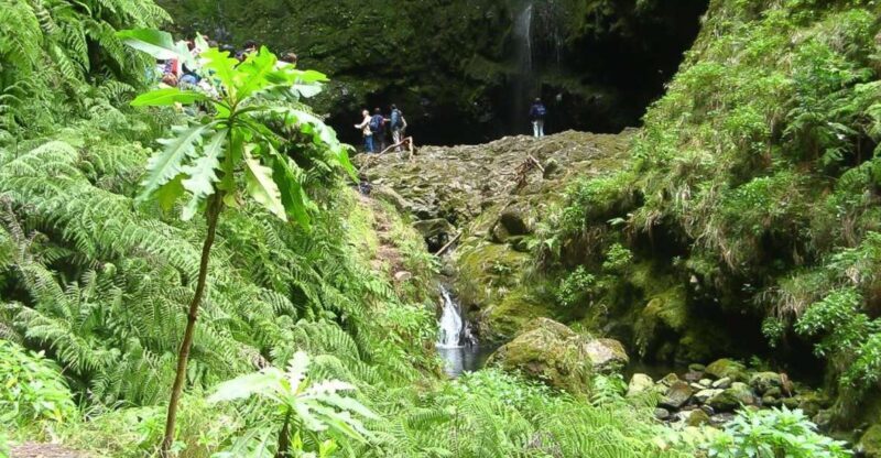 Levada Walk and Caldeirao Verde Waterfalls: Madeira - The Guides: Knowledge and Humor Matter
