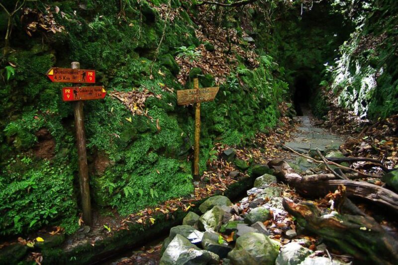 Levada Walk and Caldeirao Verde Waterfalls: Madeira - Who Should Consider This Tour?