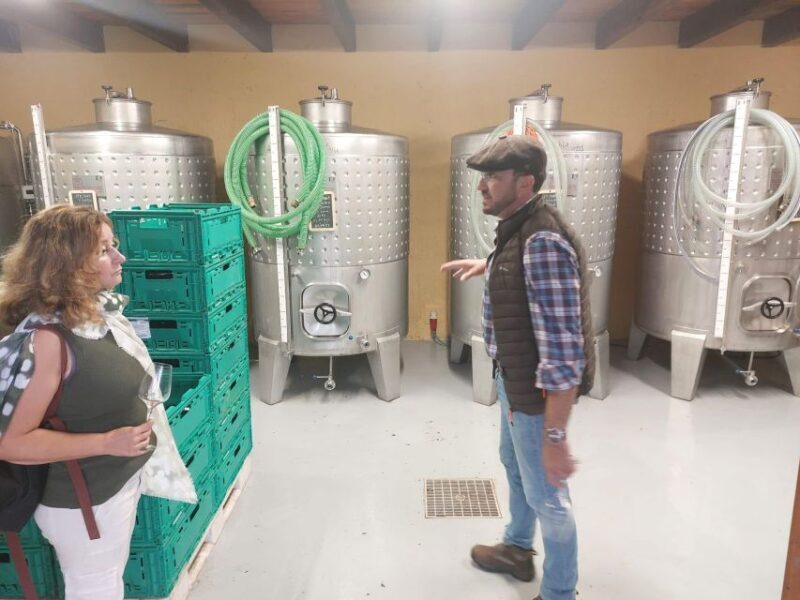 Levada Walk, Cider Tasting & Lunch - Levada Walk, Cider Tasting & Lunch: An Authentic Madeira Experience