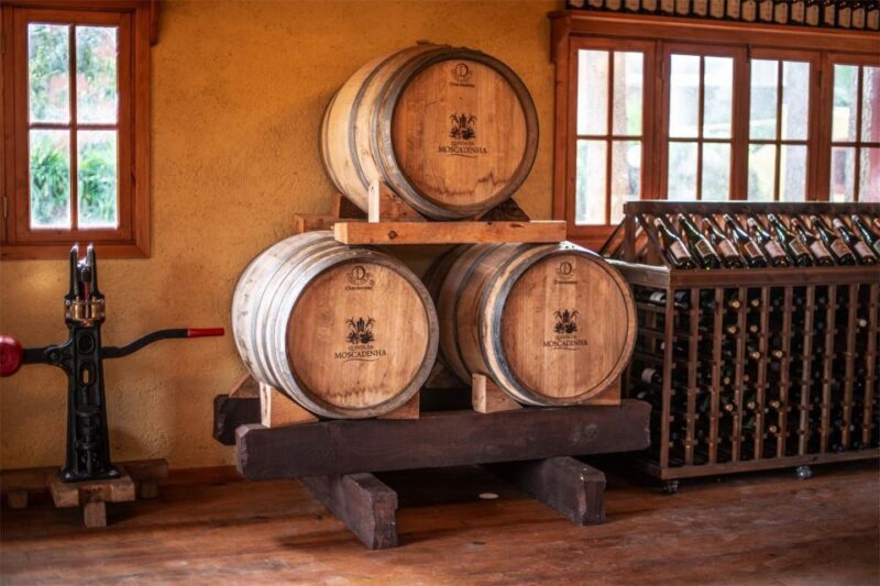 Levada Walk, Cider Tasting & Lunch - The Sum Up