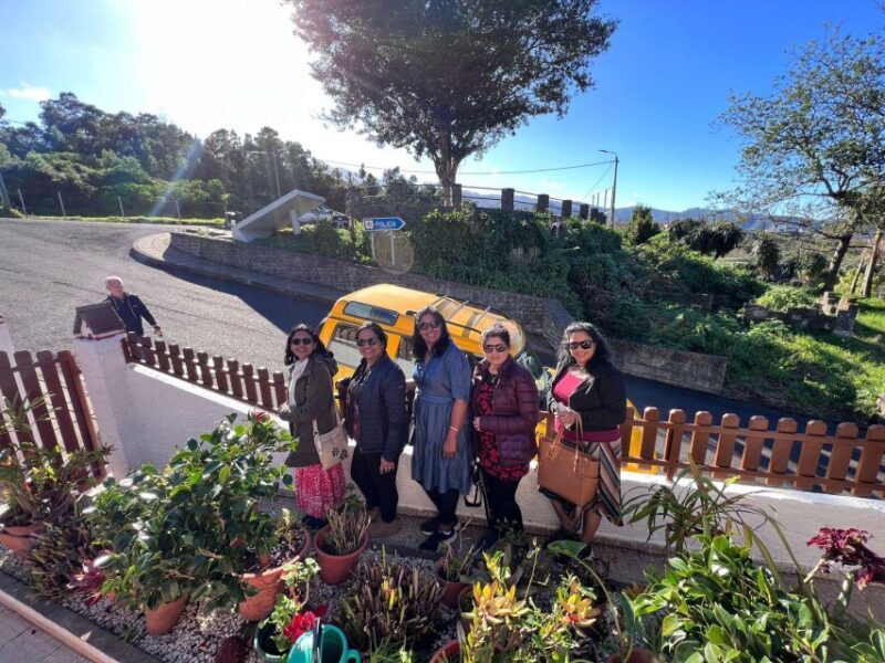Levada Walk East Santana Full-Day Jeep Tour, Pico do Arieiro - Authenticity and Unique Experiences