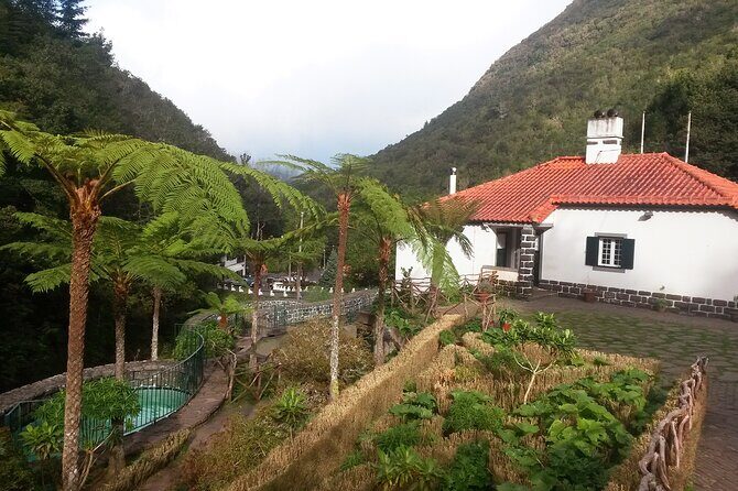 Levada Walk from Ribeiro Frio to Portela - The Sum Up