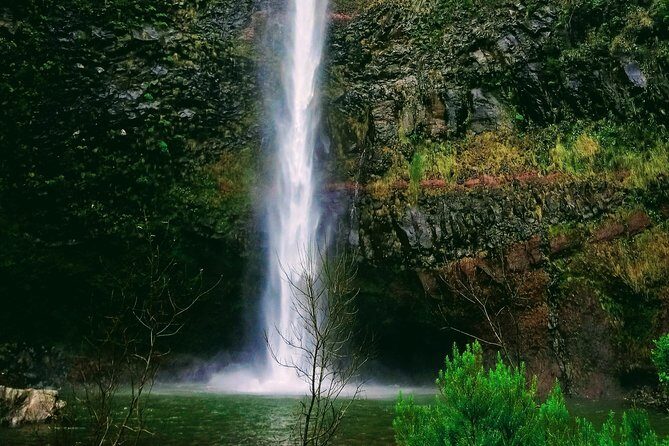 Levada & Waterfalls Hike 25 Fountains, Rabaçal, Risco more Challenging Walk - Who Will Love This Tour?