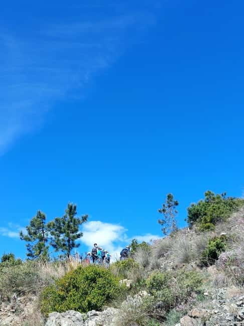 Levanto: Hiking Tour with Creative Workshop! - Key Points