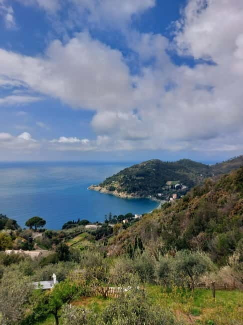 Levanto: Hiking Tour with Creative Workshop! - A Deep Dive into the Experience