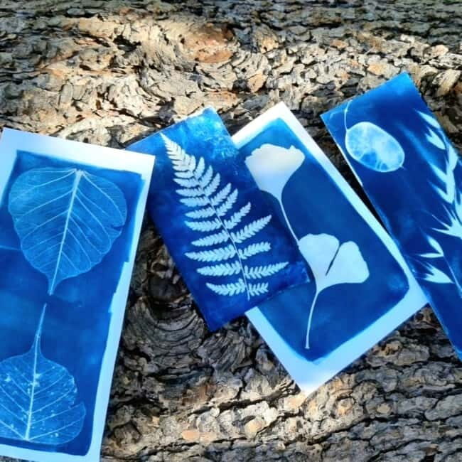 Levanto: Hiking Tour with Creative Workshop! - Authentic Feedback from Past Participants