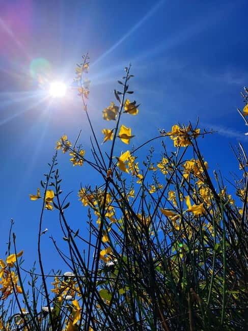 Levanto: Hiking Tour with Creative Workshop! - The Sum Up