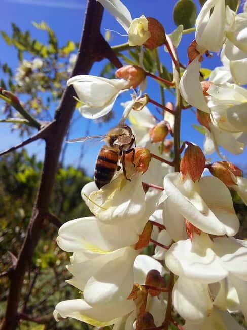 Levanto: Hiking Tour with Creative Workshop! - FAQ