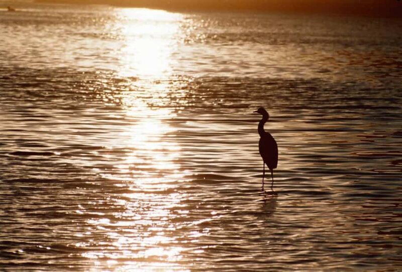 Level 1 Rafting: on the Copalita River from Huatulco - Scenic Highlights & Nature Encounters