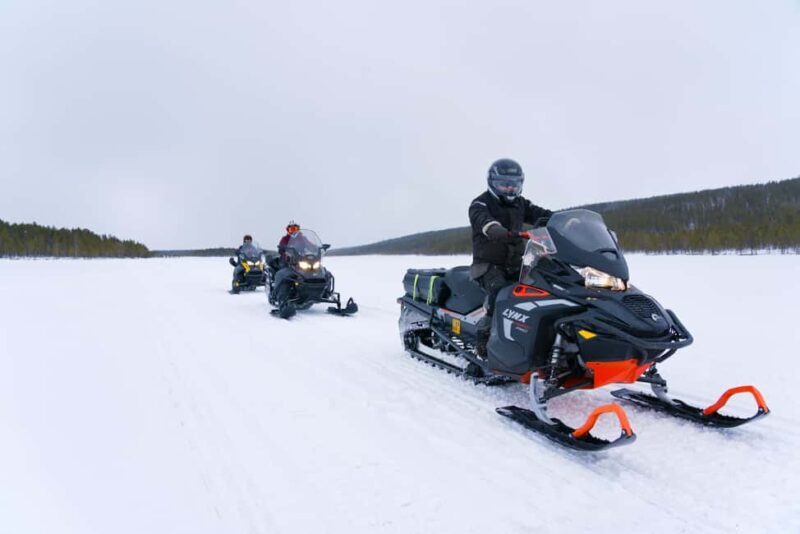 Levi: 2-Hour Snowmobile Safari Led by Local Guides - What Makes This Tour Stand Out?